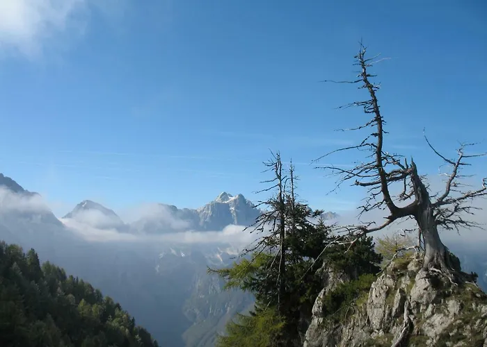 Кемпинг Camp Smica *